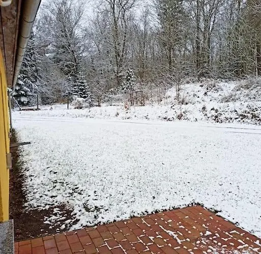 Gemütliches Ferienhaus im Harz direkt am Waldrand