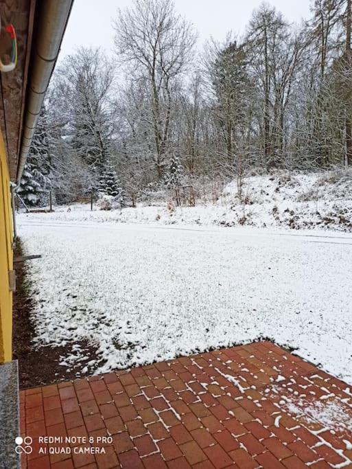 Gemütliches Im Harz Direkt Am Waldrand Apartment